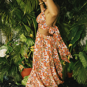 AMARYLLIS MESH DRESS