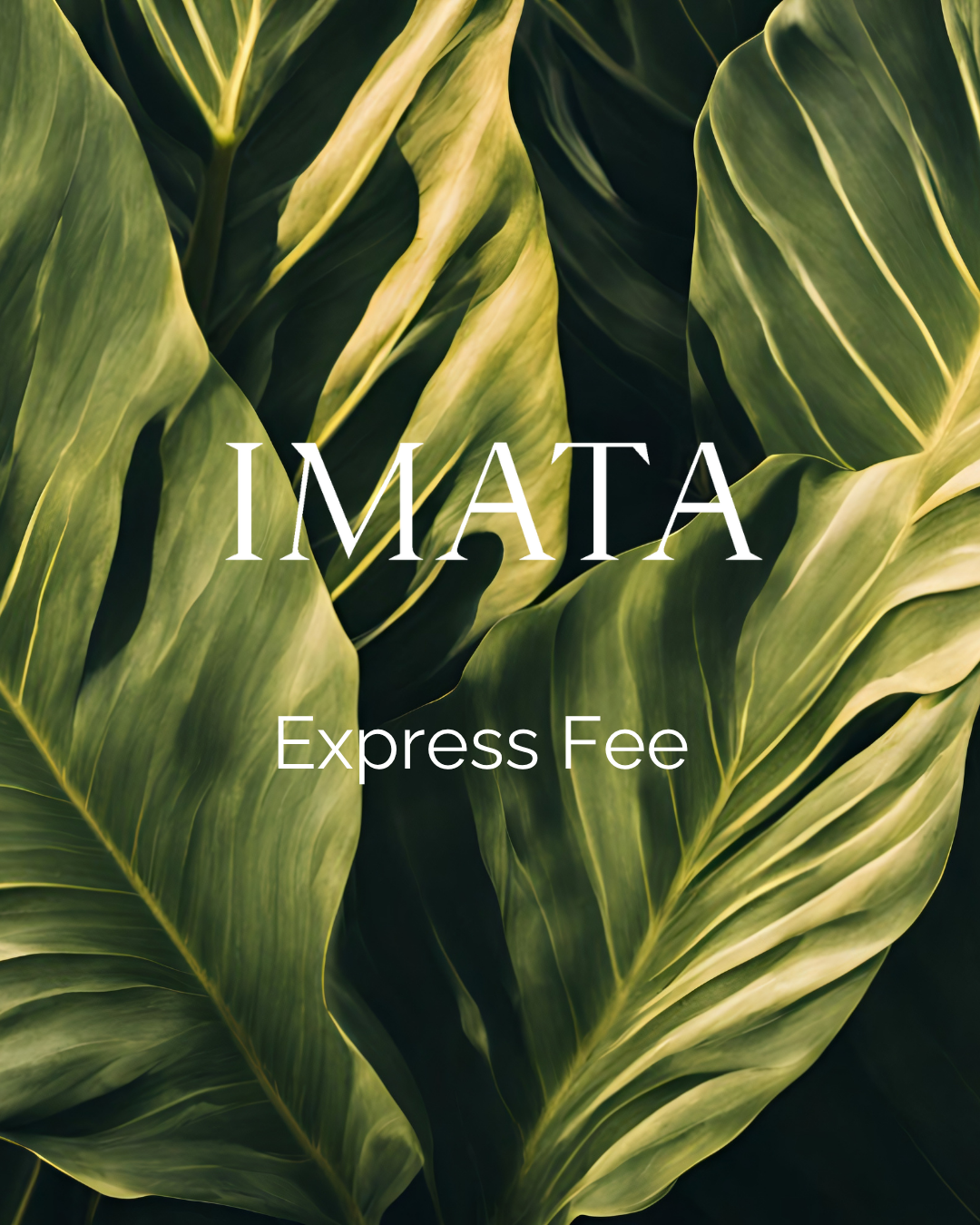 Express Fee